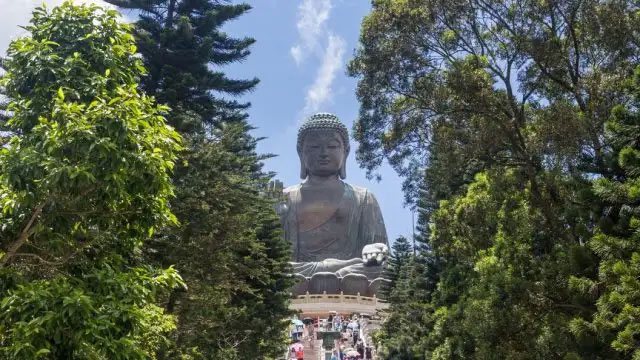 how to move To Hong Kong 2022 - big buddha