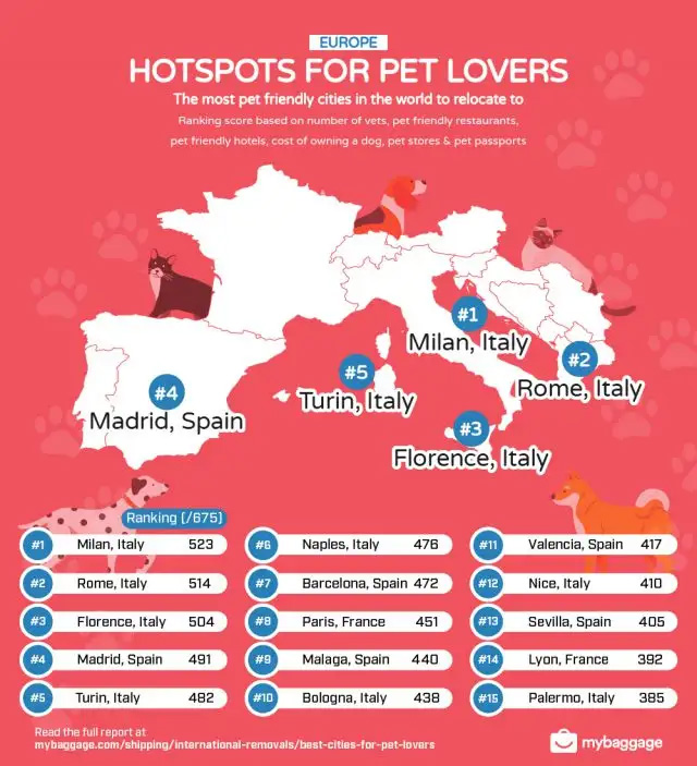 The 15 pet-friendly cities in Europe