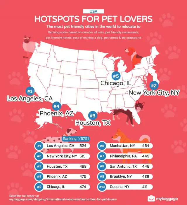 The 10 pet-friendly cities in the US