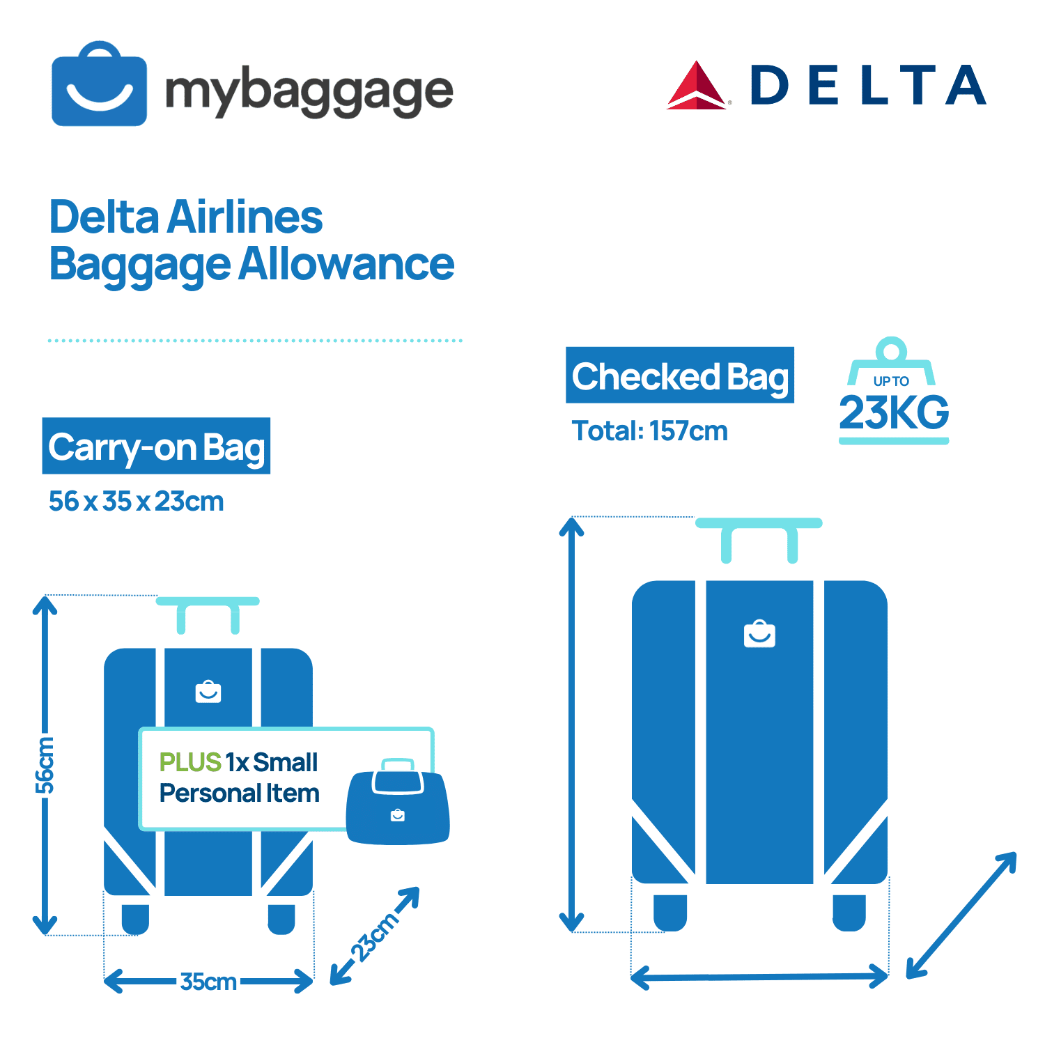 delta hand luggage