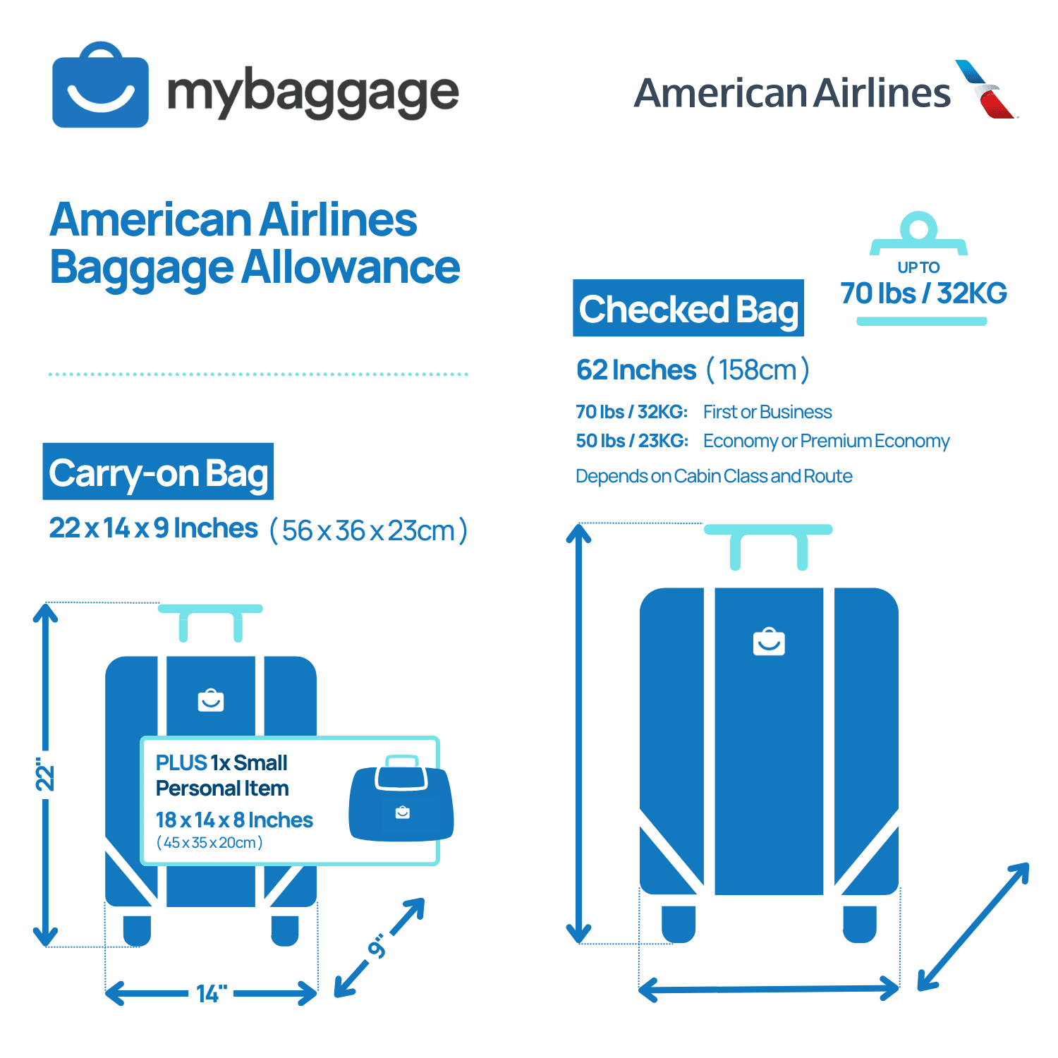 american airlines checked baggage
