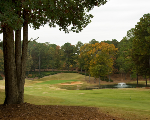 Georgia Golf Course