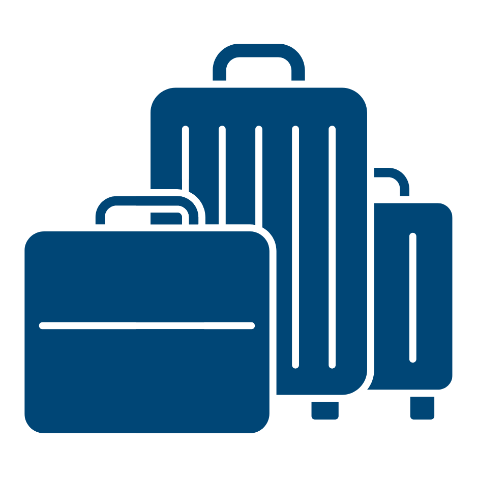 Icon - Checked Baggage