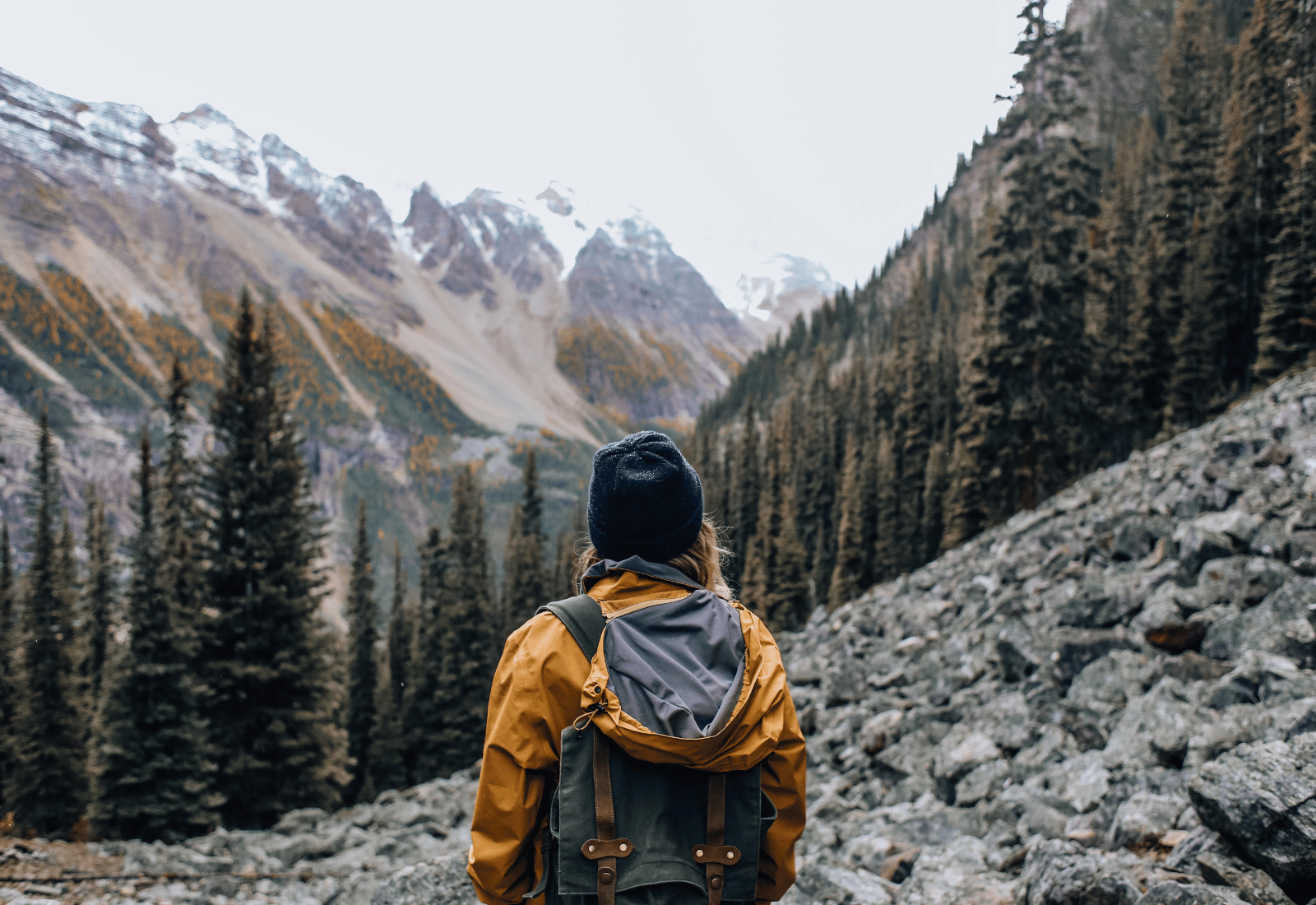 Hiking in the Great Outdoors