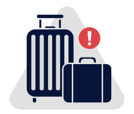 Avoid Expensive Airline Baggage Fees