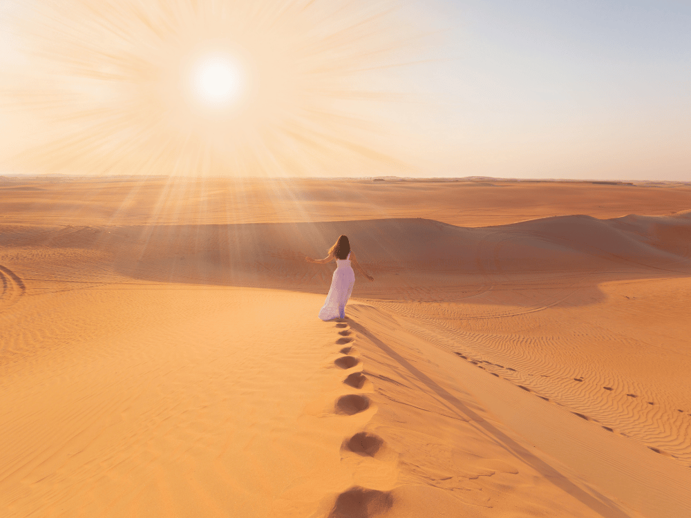 Reliable Shipping to the UAE
