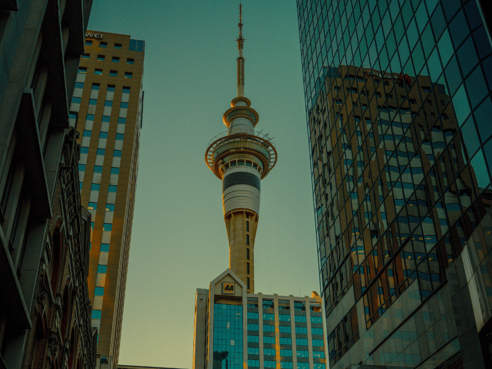 Door to Door New Zealand Shipping Service