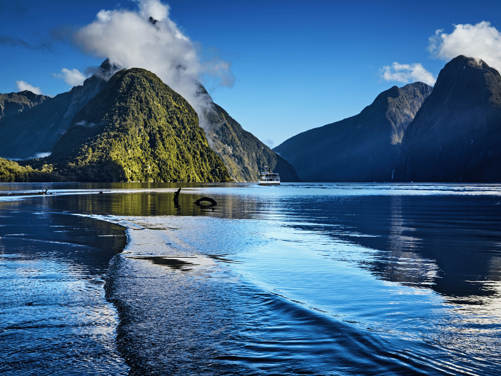 Trusted New Zealand Shipping Service