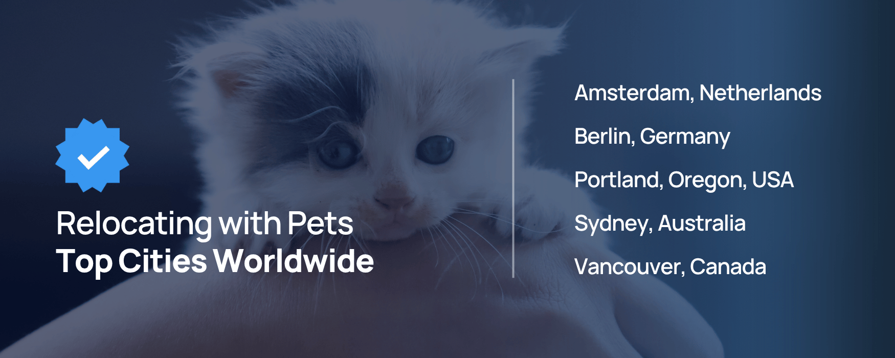 My Baggage Top Cities - Moving with Pets