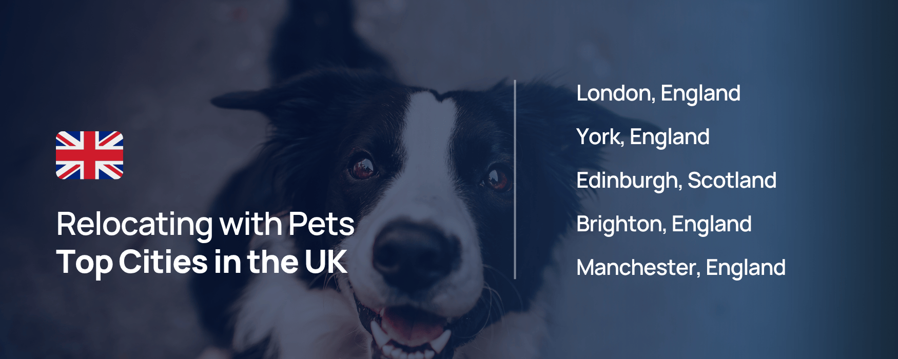 United Kingdom - Moving with Pets